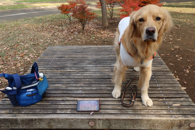 ファイル 7859-5.jpg