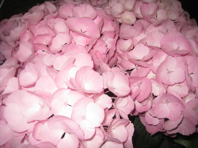 ファイル 786-4.jpg