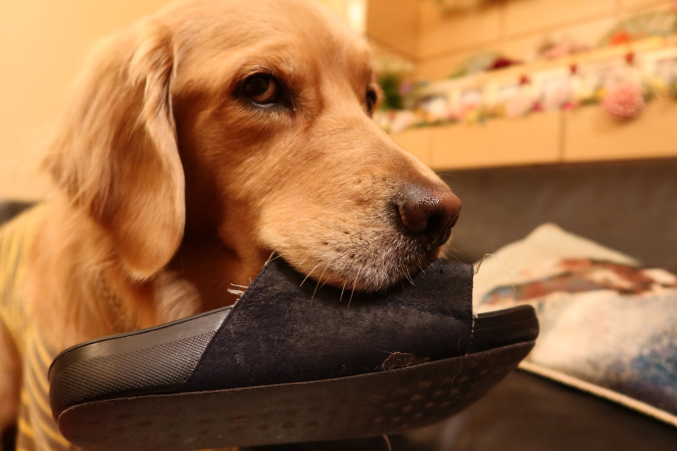 ファイル 7860-1.jpg