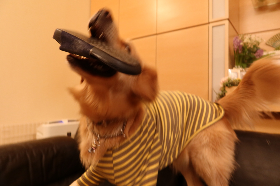 ファイル 7860-2.jpg