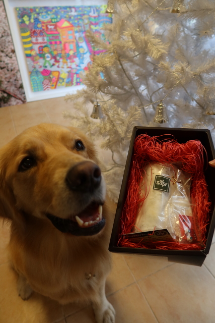 ファイル 7861-2.jpg