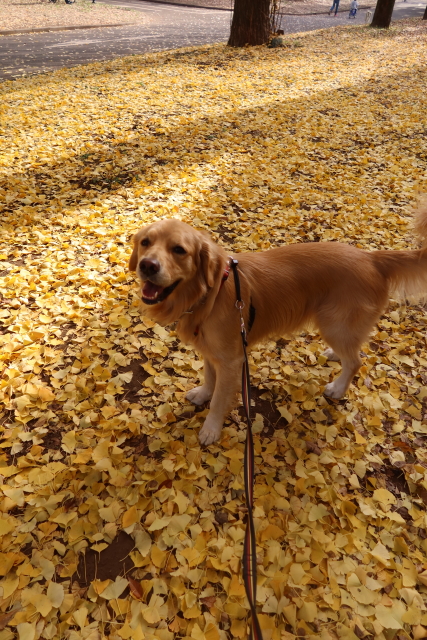 ファイル 7861-3.jpg