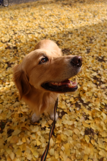 ファイル 7861-4.jpg