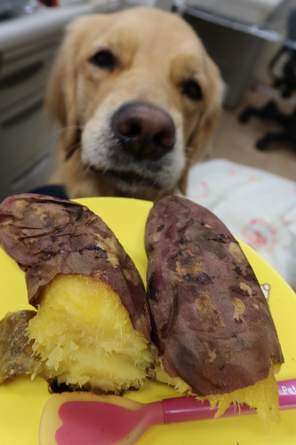 ファイル 7861-5.jpg