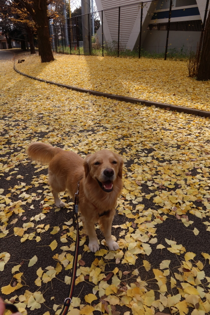 ファイル 7862-1.jpg