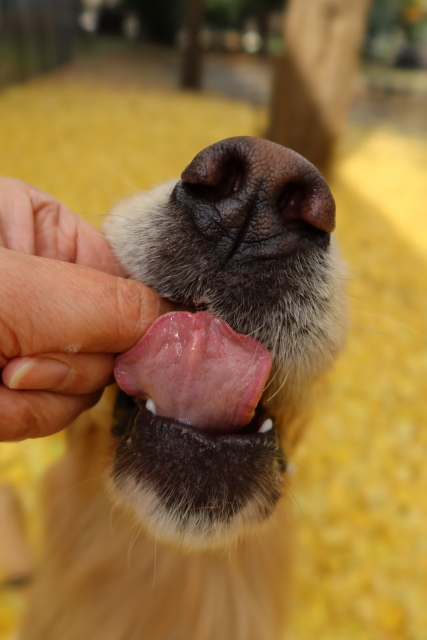 ファイル 7862-5.jpg