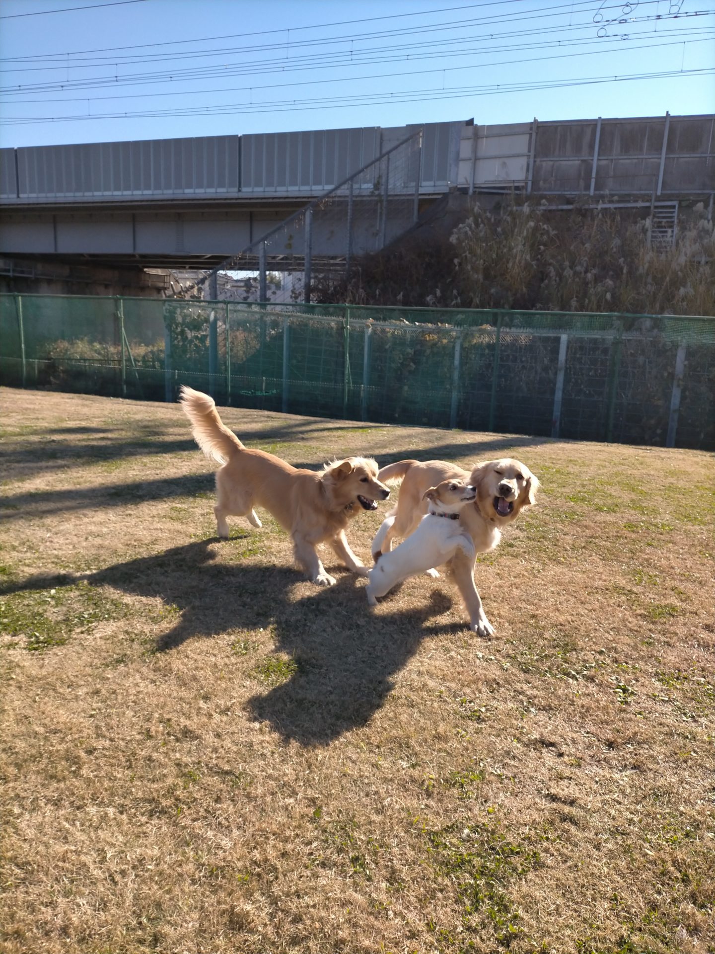 ファイル 7864-1.jpg