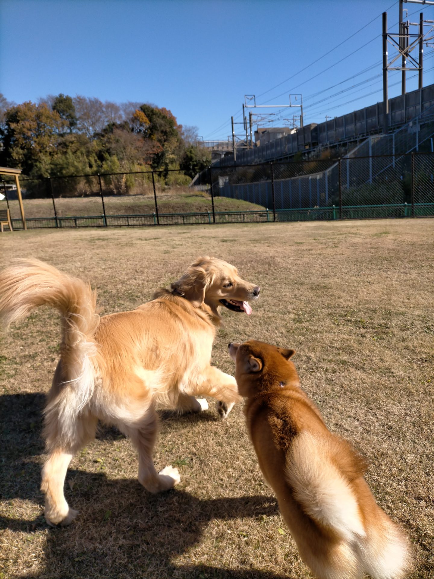 ファイル 7864-2.jpg