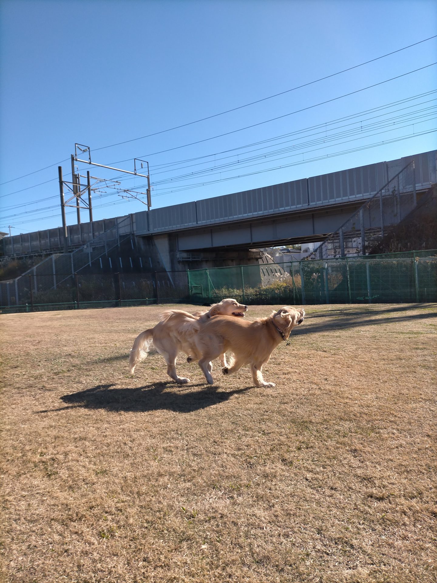 ファイル 7864-3.jpg