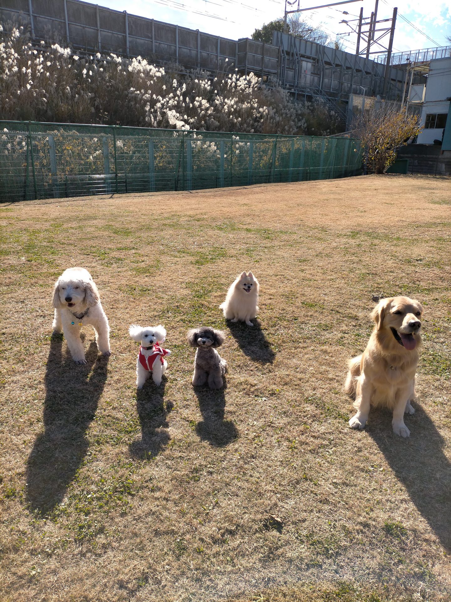 ファイル 7864-4.jpg