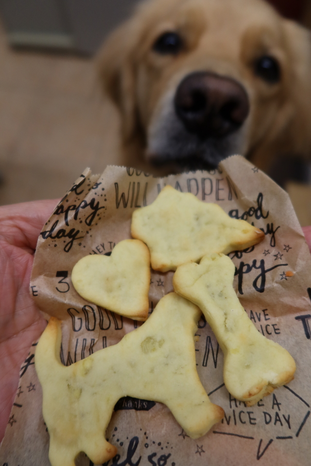 ファイル 7865-3.jpg