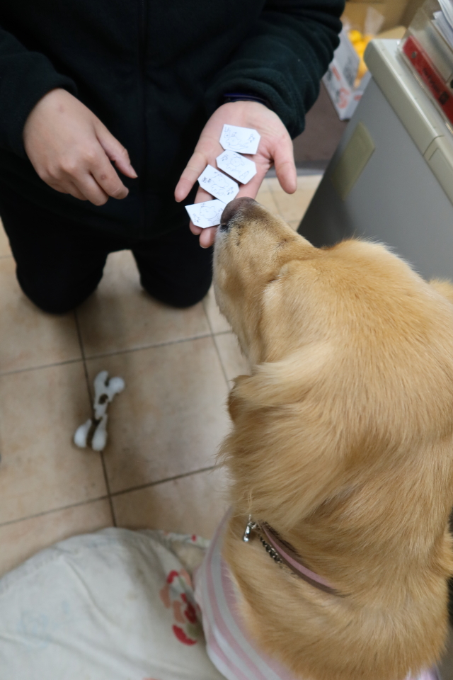 ファイル 7865-4.jpg