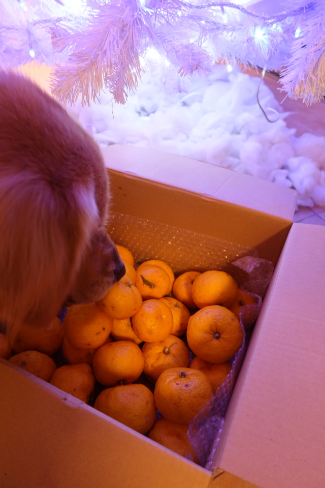 ファイル 7866-1.jpg