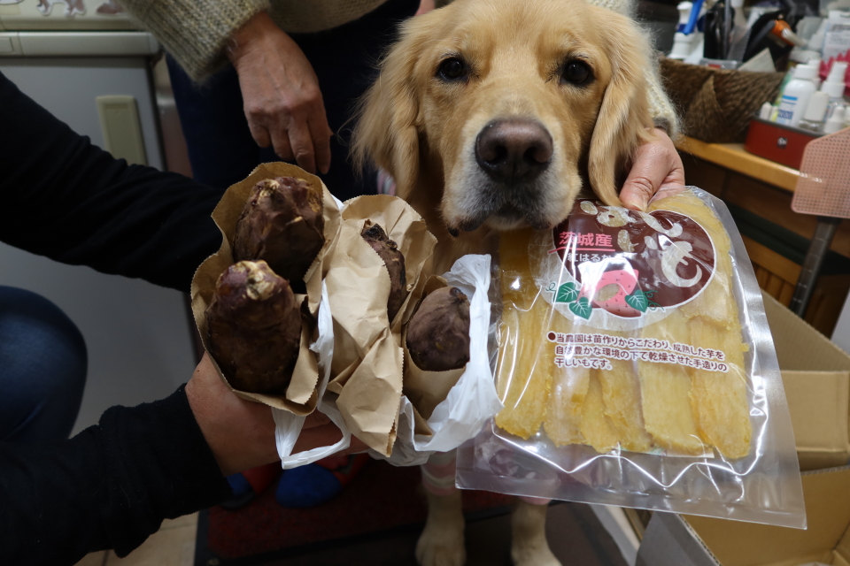 ファイル 7866-5.jpg