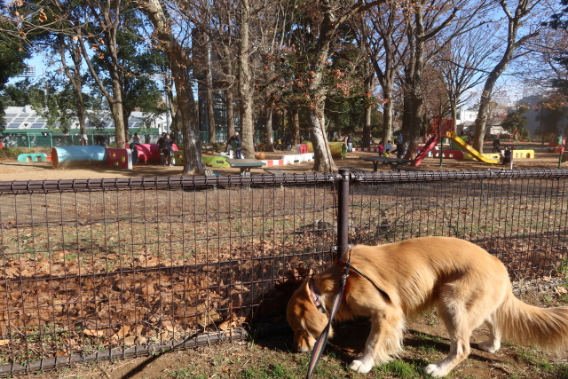 ファイル 7867-1.jpg