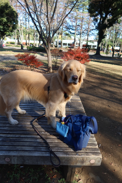 ファイル 7867-4.jpg