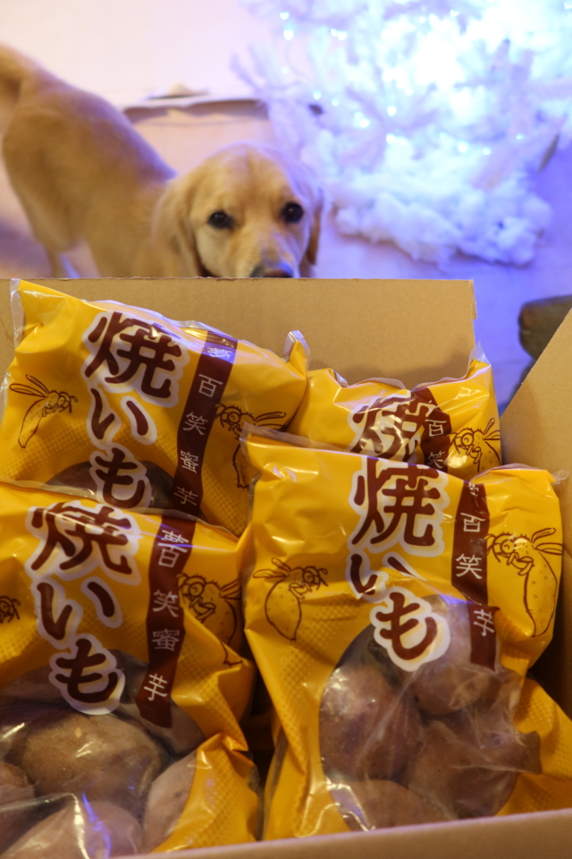 ファイル 7868-1.jpg