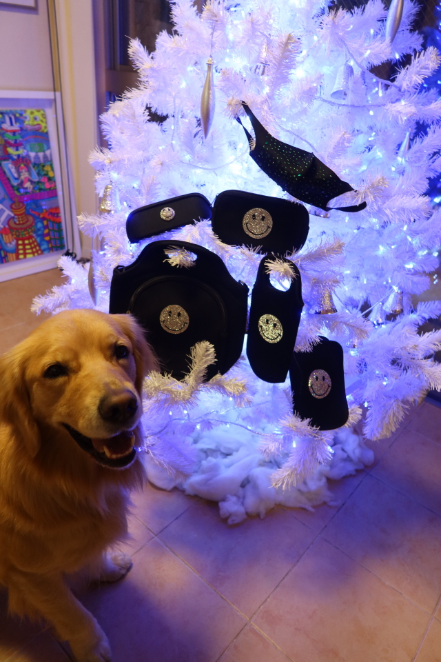 ファイル 7868-5.jpg