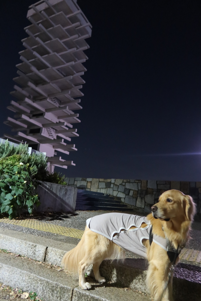 ファイル 7869-3.jpg