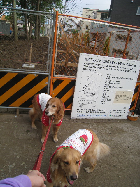 ファイル 787-1.jpg