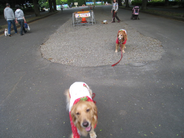 ファイル 787-3.jpg