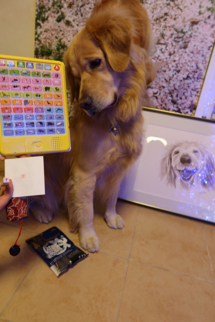 ファイル 7870-3.jpg