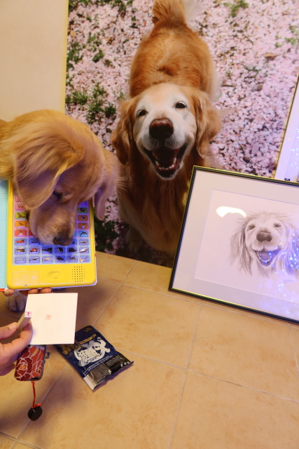 ファイル 7870-4.jpg