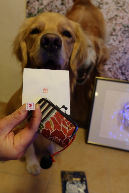 ファイル 7870-5.jpg