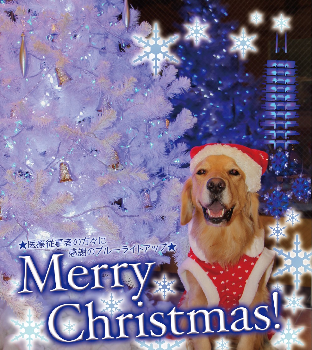 ファイル 7871-1.jpg