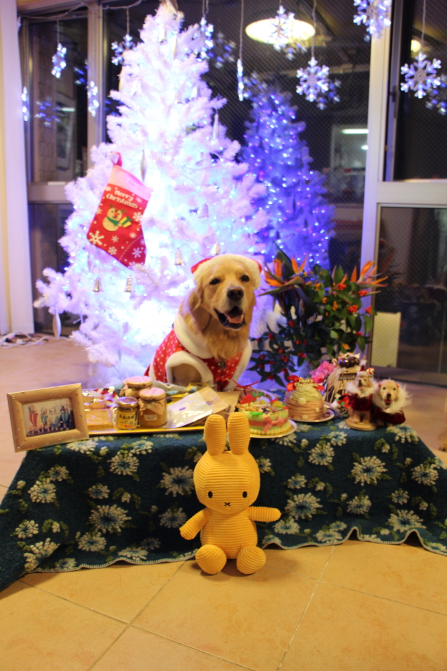 ファイル 7871-3.jpg