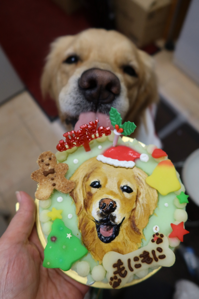 ファイル 7871-4.jpg