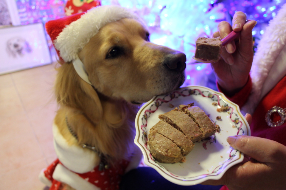 ファイル 7871-5.jpg