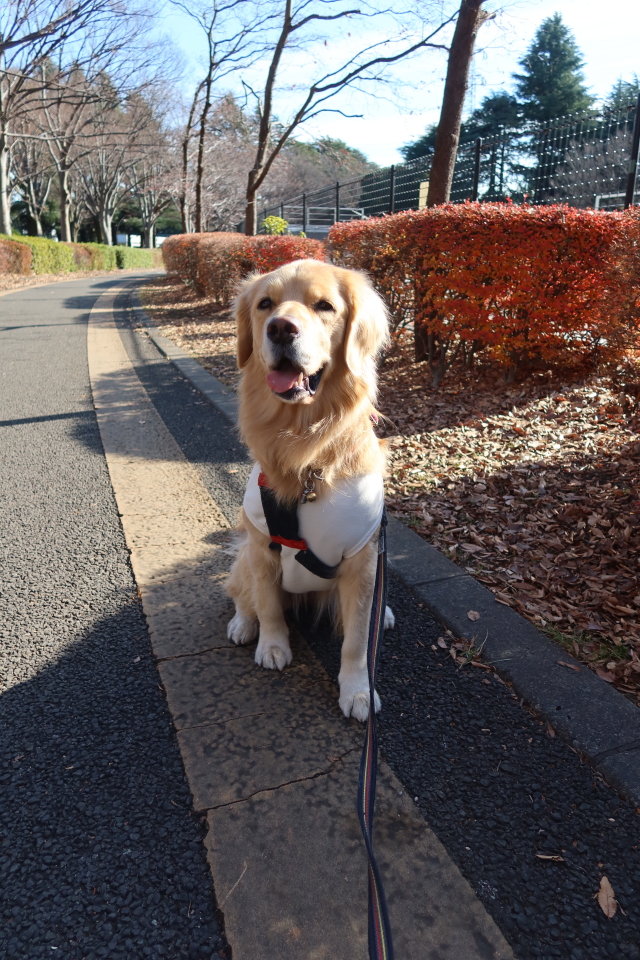 ファイル 7873-1.jpg