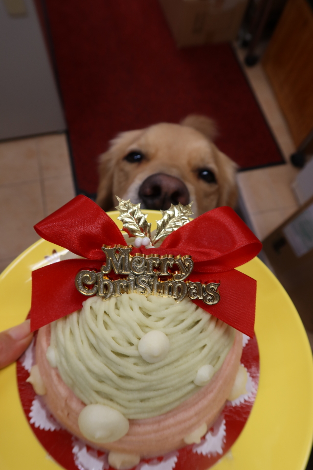 ファイル 7873-2.jpg