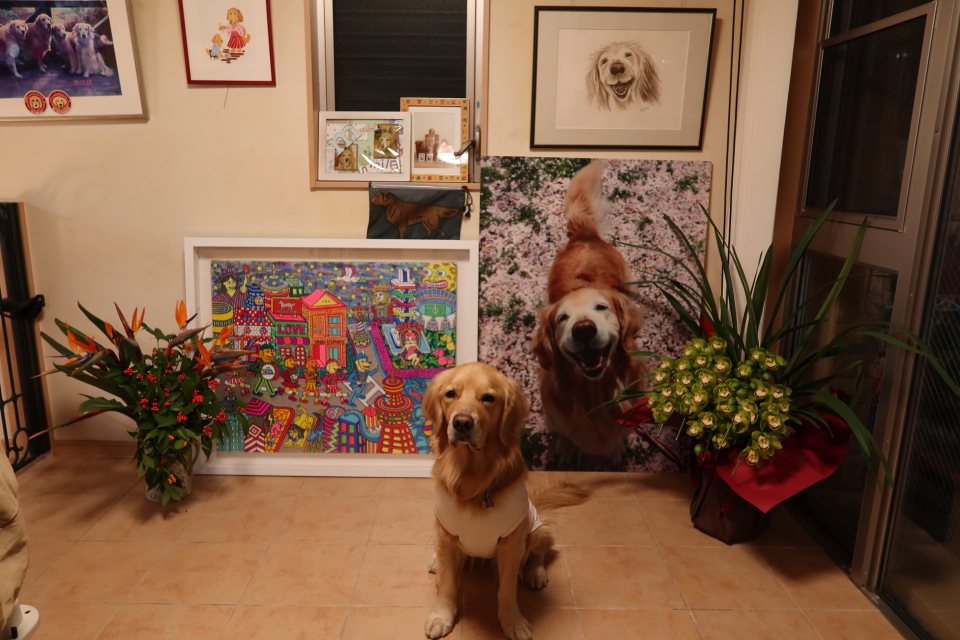 ファイル 7873-3.jpg