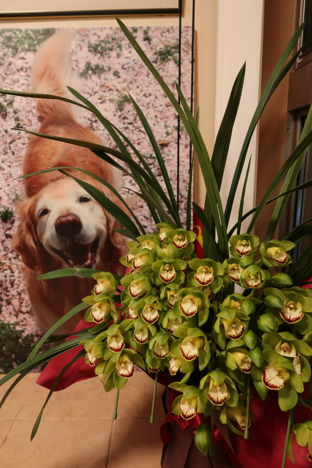 ファイル 7873-4.jpg