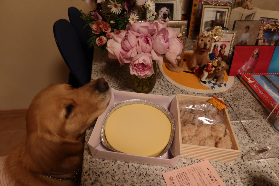 ファイル 7873-5.jpg