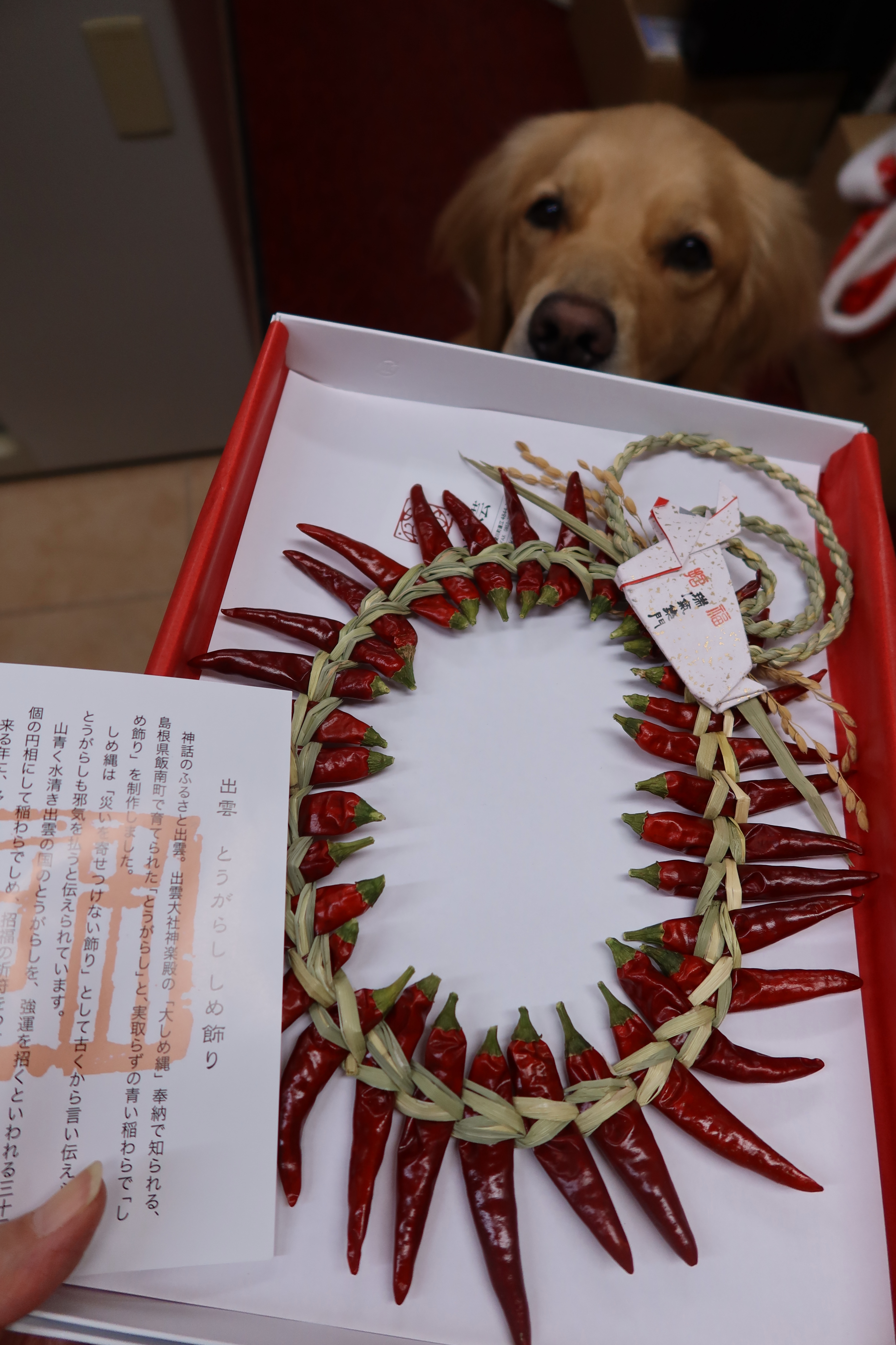 ファイル 7874-2.jpg