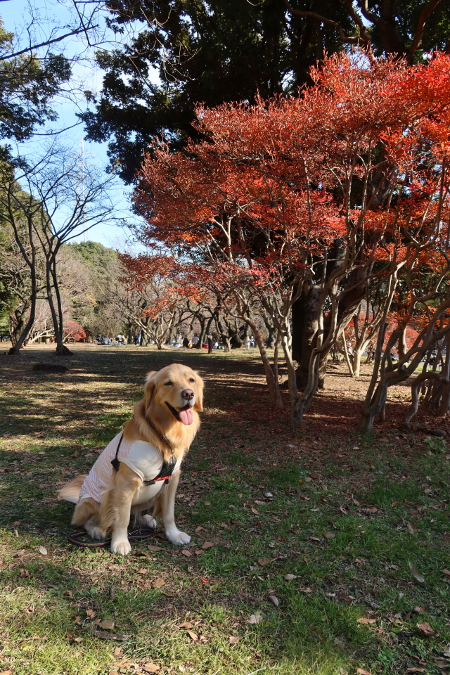 ファイル 7874-4.jpg