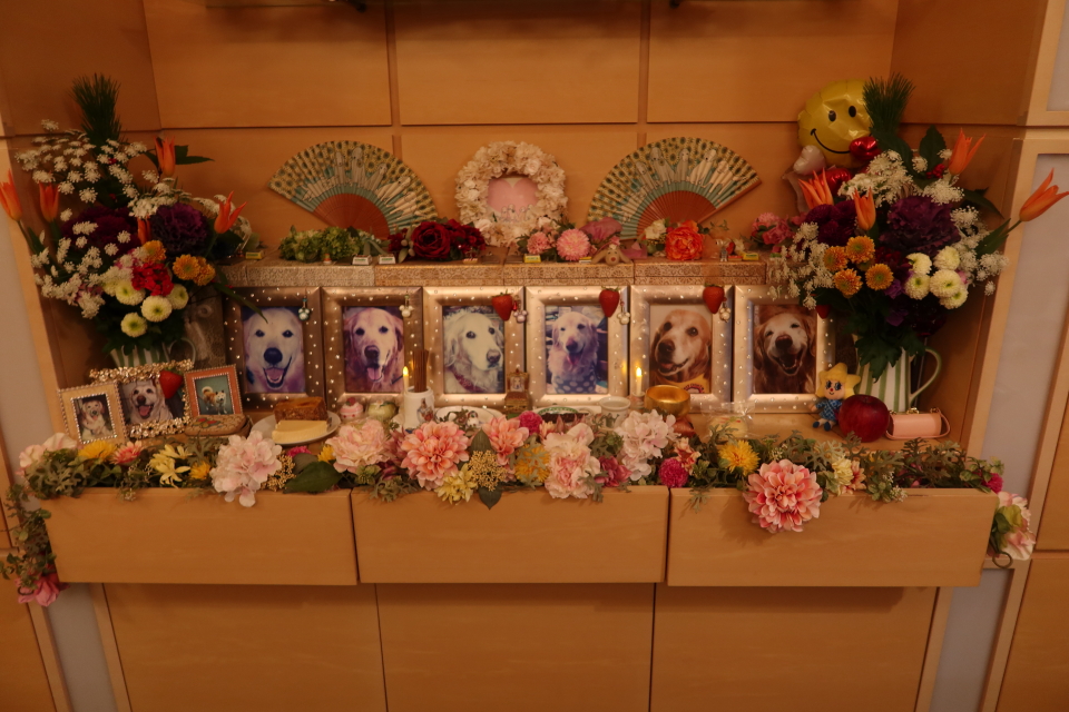 ファイル 7874-5.jpg