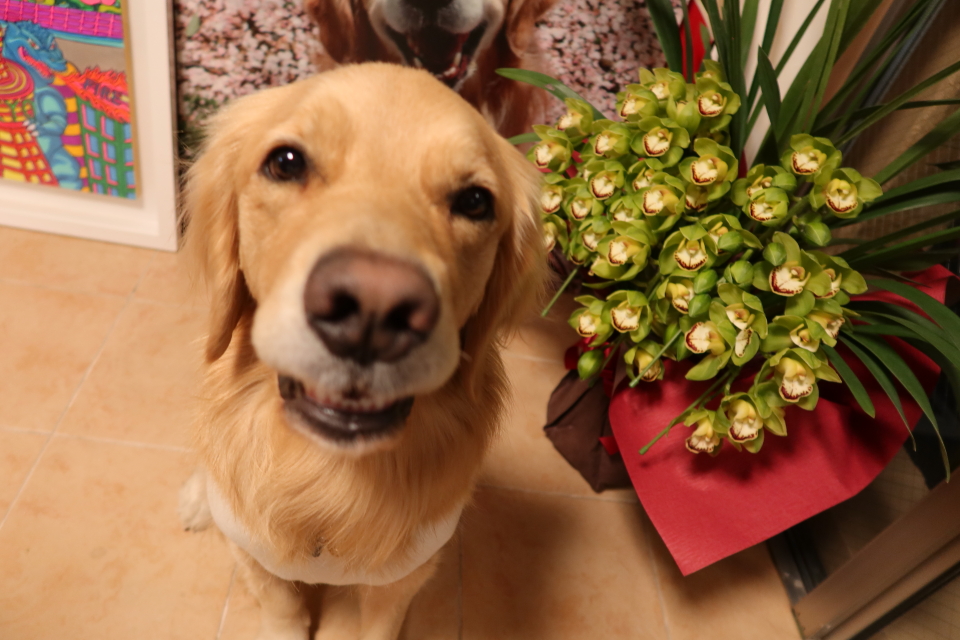 ファイル 7875-4.jpg