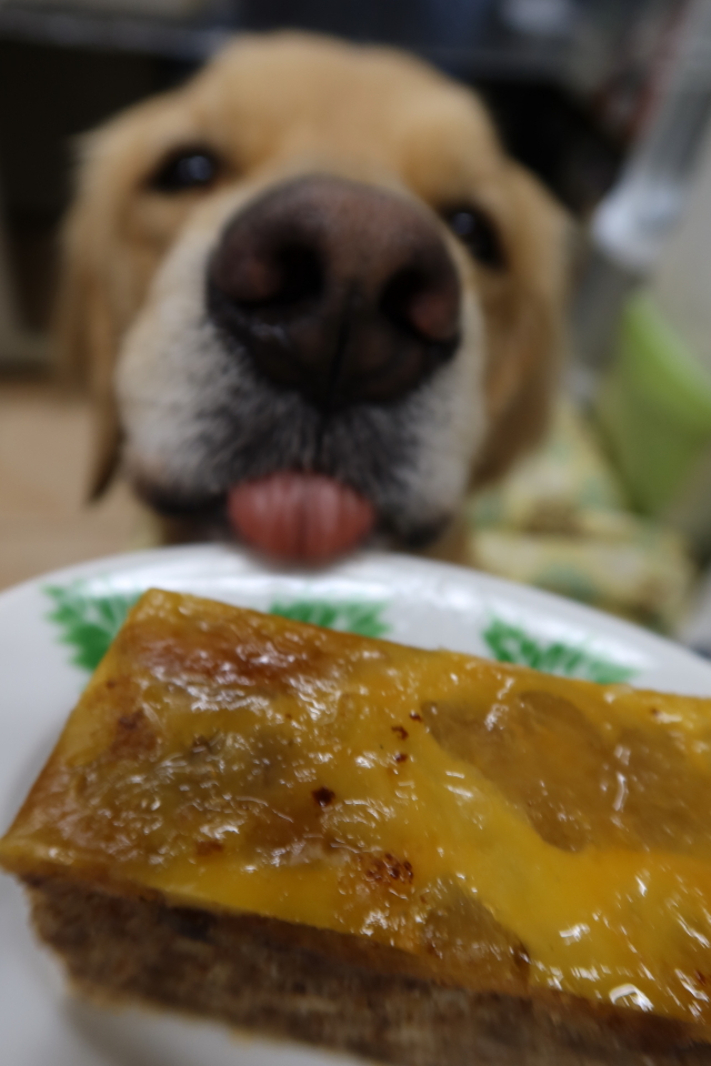 ファイル 7875-5.jpg