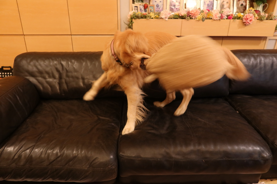 ファイル 7877-1.jpg