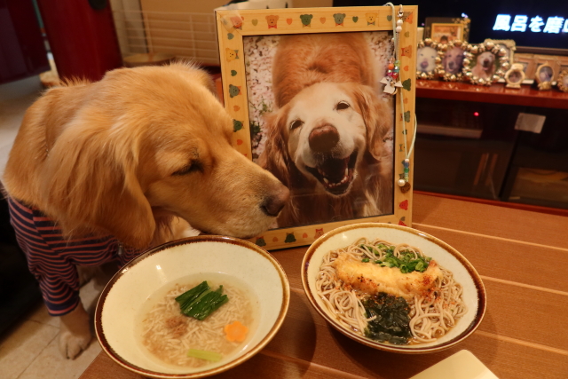 ファイル 7879-1.jpg