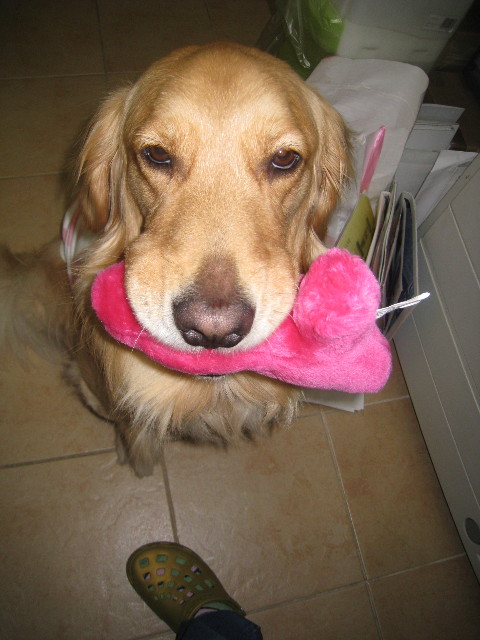 ファイル 788-5.jpg