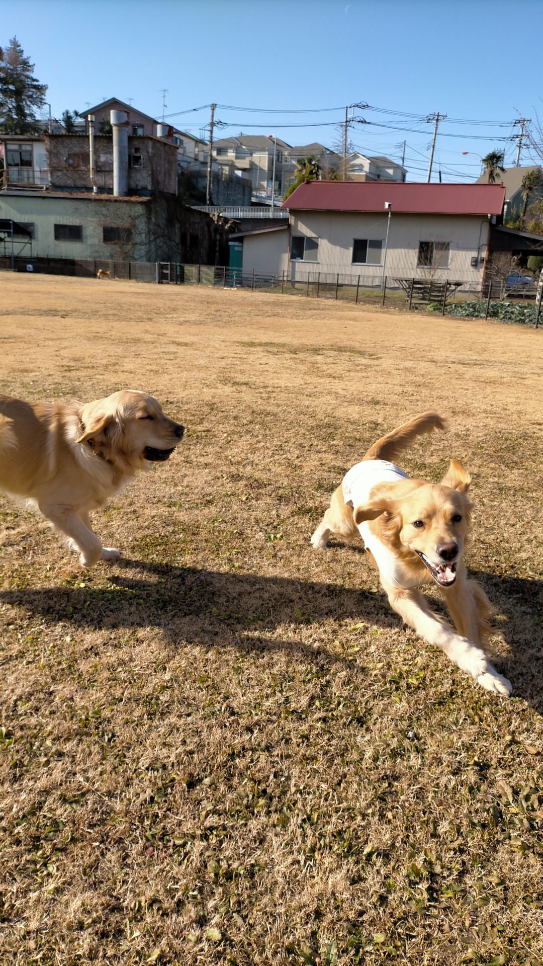 ファイル 7881-1.jpg