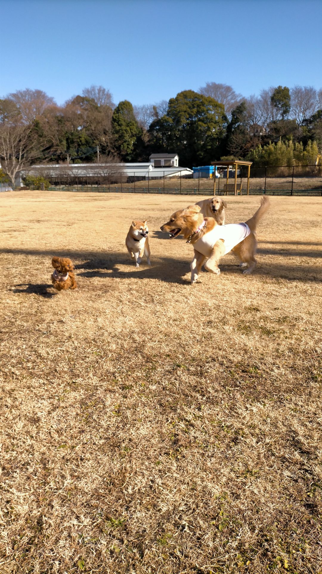 ファイル 7881-2.jpg