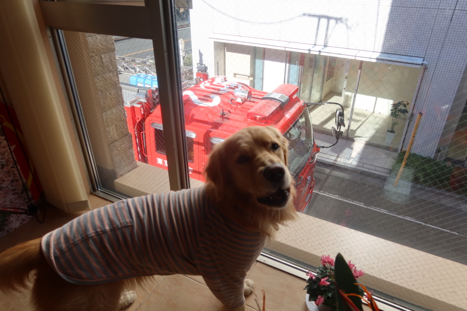 ファイル 7882-5.jpg