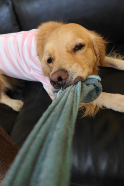 ファイル 7883-3.jpg