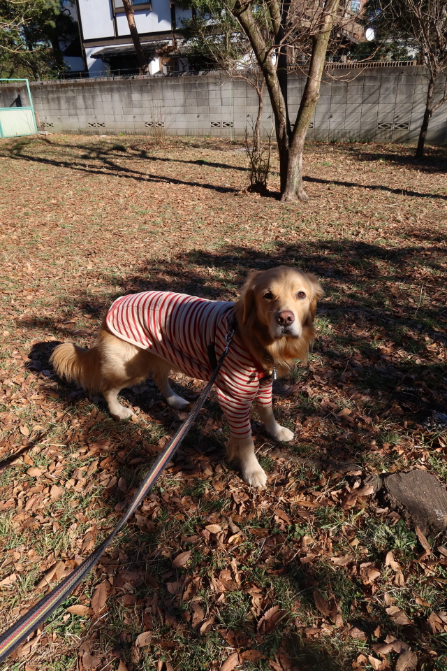 ファイル 7885-3.jpg